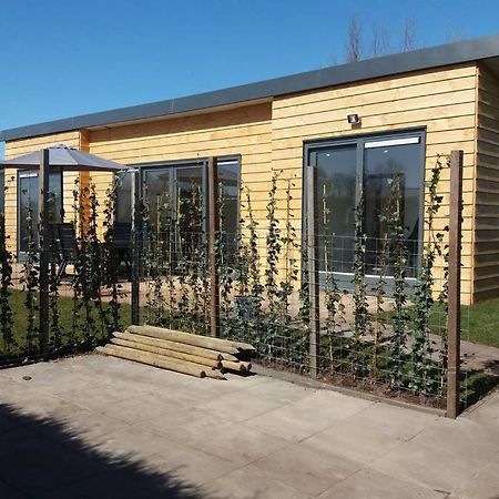 Luxe Vakantie Bungalow Met 3 Slaapkamers Dronrijp Екстер'єр фото